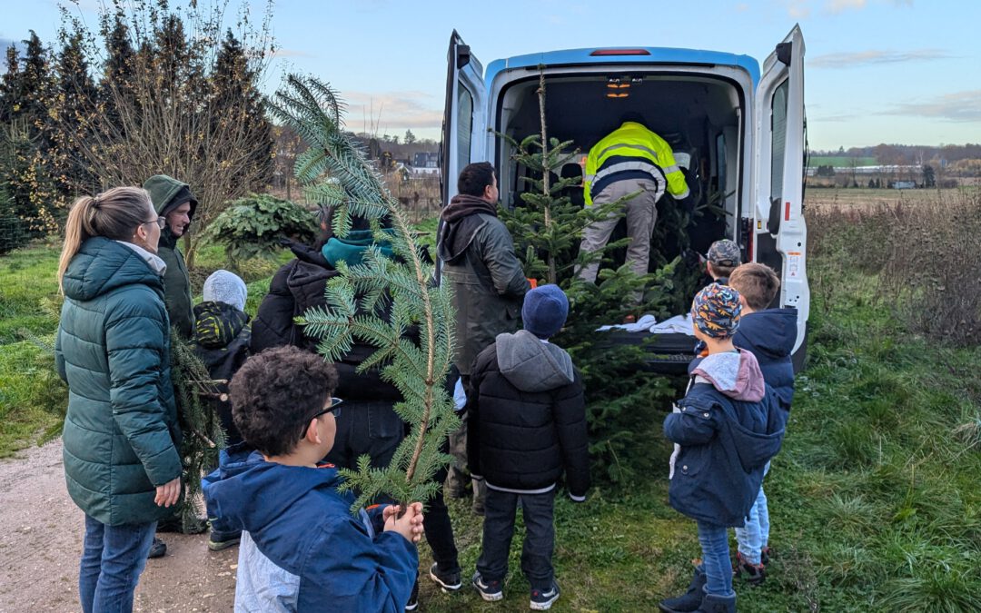 Zwei Weihnachtsbäume für die Waldschule